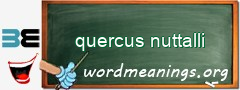 WordMeaning blackboard for quercus nuttalli